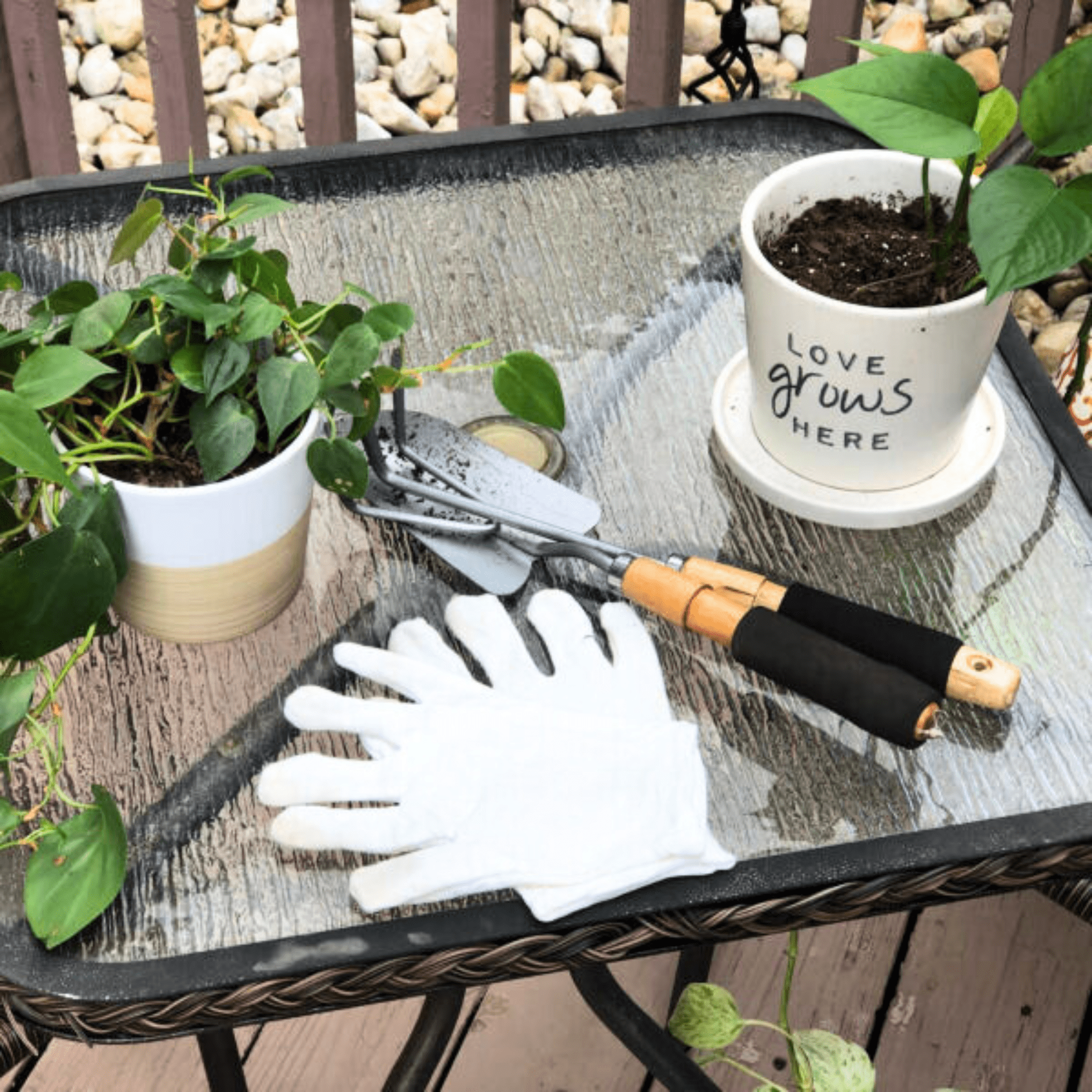 Two potted plants on a glass table, one with a "Love grows here" pot. Nearby are a hand rake, trowel, and white gardening gloves.