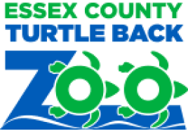 TurtleBackZoo
