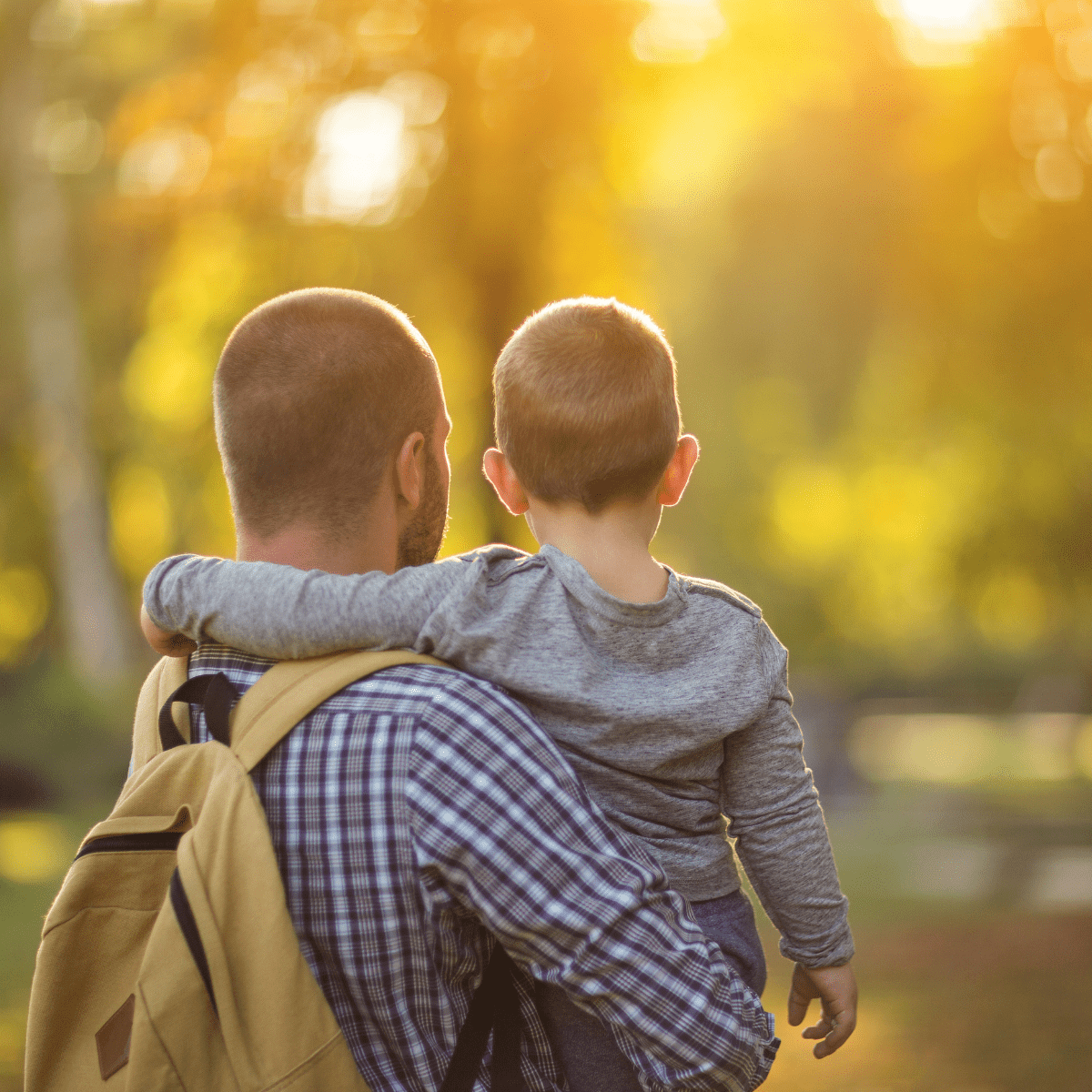 A man carrying a child in a park. Sunlight filters through the trees, creating a warm, serene glow. The man wears a backpack and a checkered shirt. Parent support strategies.